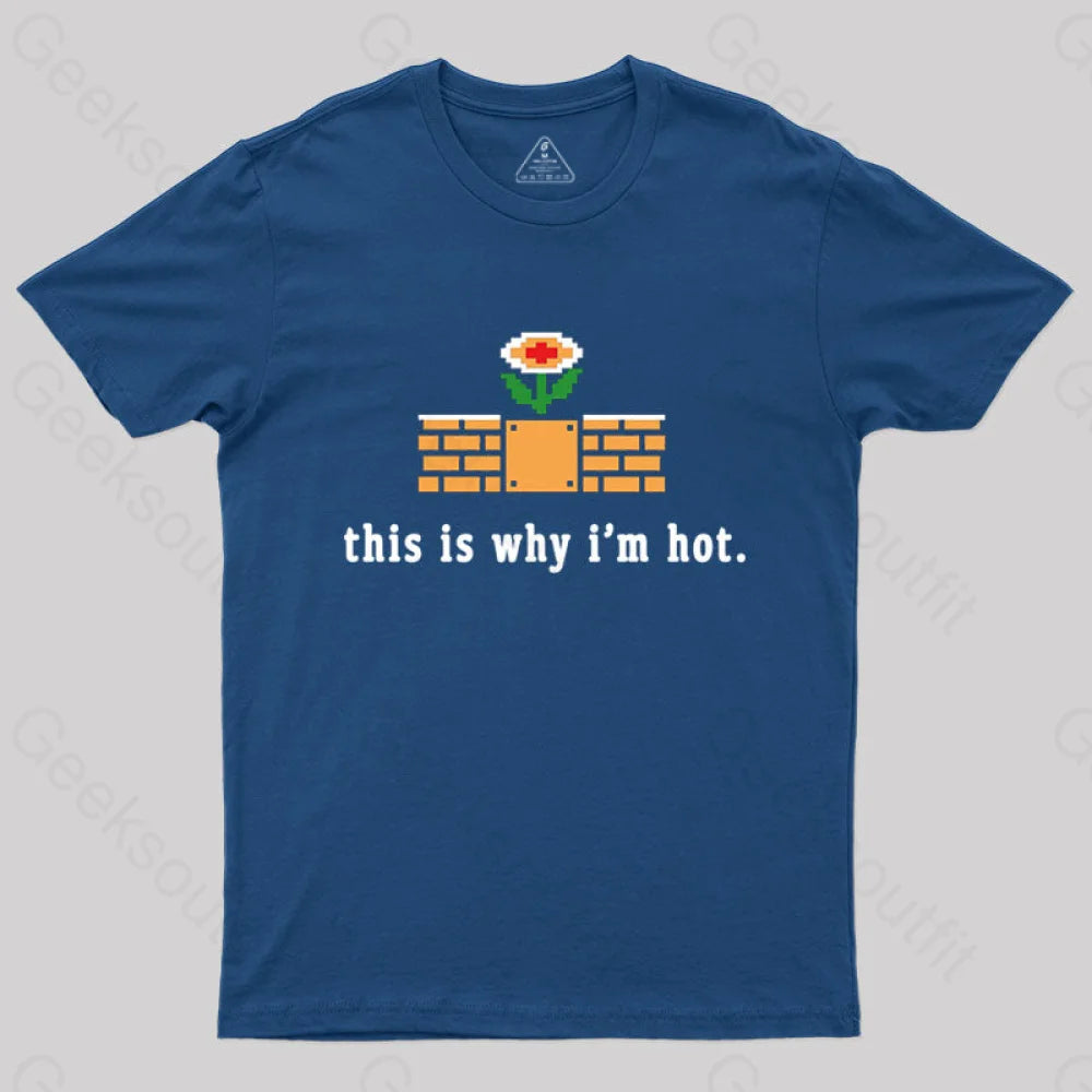 This Is Why I'm Hot T-Shirt